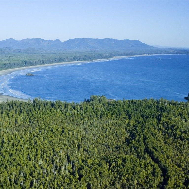 Pacific Ring National Park, places to explore in Tofino