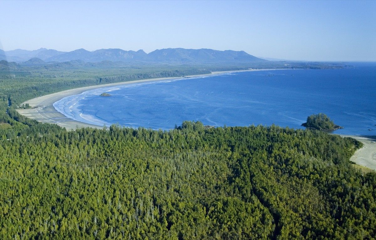 Pacific Ring National Park, places to explore in Tofino